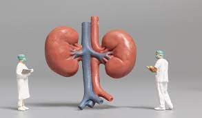 Best Nephrologist